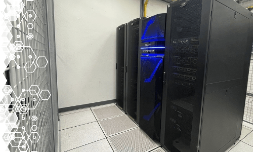 PLEX Latin America Team